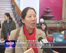 翟清芝參加淄博市政協(xié)十二屆三次會議